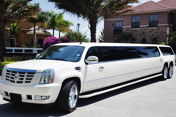 Little Rock 20 Passenger Limo